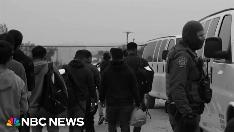 Ice raids hit florida following supreme court decision on migrant