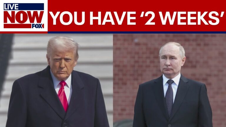 Trump challenges putin to forge ceasefire in 14 days