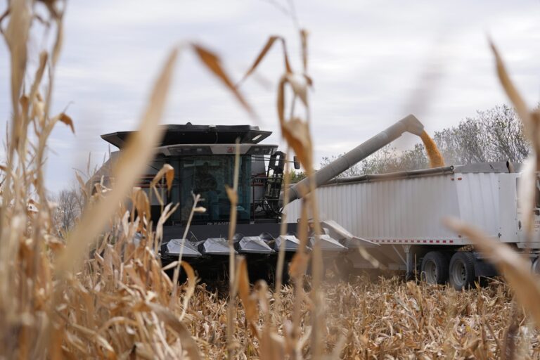 Uncertain protections amid rising deportations in trump’s farm and hotel