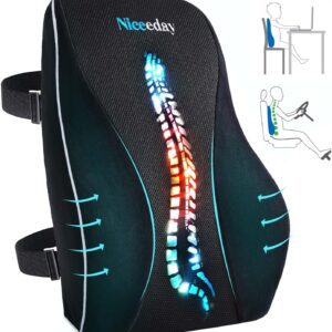 ErgoSupport Memory Foam Back Pillow