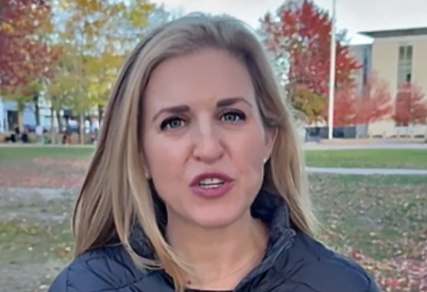 Hell Cats: Female Veterans Aim for Congressional Success Inspired by The Squad