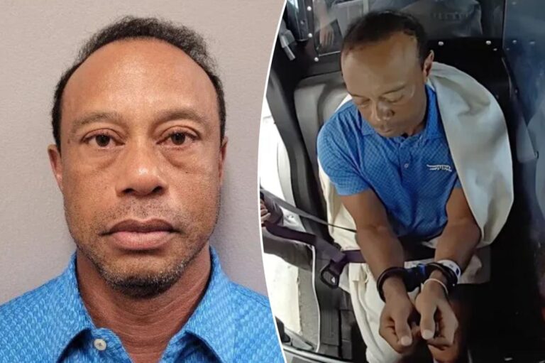 Tiger Woods’ Jet Touches Down in Switzerland Following DUI Incident