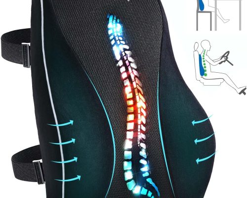 ErgoSupport Memory Foam Back Pillow