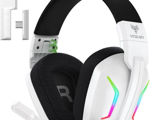 WESEARY Dual Wireless Gaming Headset